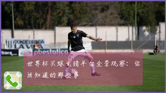 世界杯买球竞猜平台全景观察：你该知道的那些事