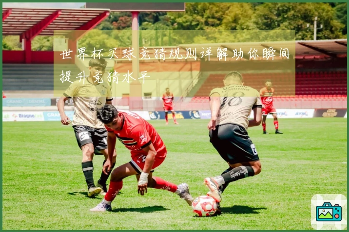 世界杯买球竞猜规则详解助你瞬间提升竞猜水平