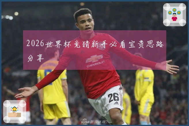 2026世界杯竞猜新手必看宝贵思路分享