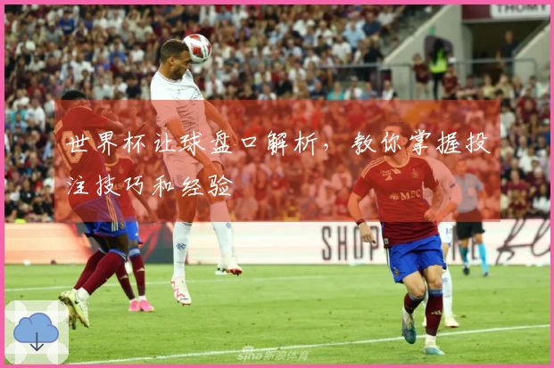 世界杯让球盘口解析，教你掌握投注技巧和经验