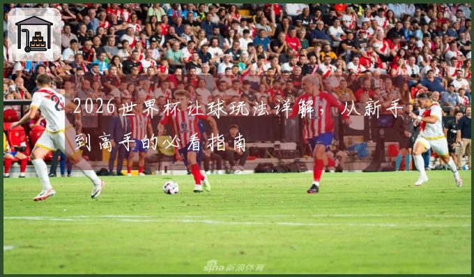2026世界杯让球玩法详解，从新手到高手的必看指南