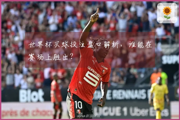 世界杯买球投注盘口解析，谁能在赛场上胜出？