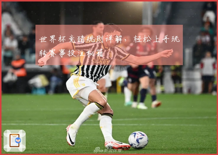 世界杯竞猜规则详解，轻松上手玩转赛事投注秘籍