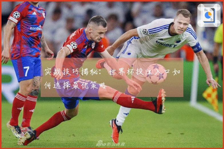 实战技巧揭秘：世界杯投注入口如何选择最优策略