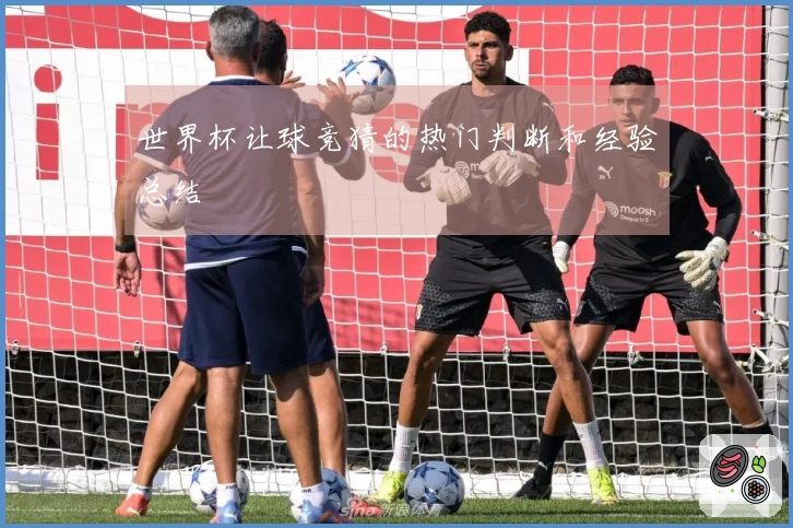 世界杯让球竞猜的热门判断和经验总结