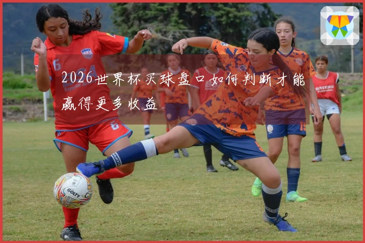 2026世界杯买球盘口如何判断才能赢得更多收益