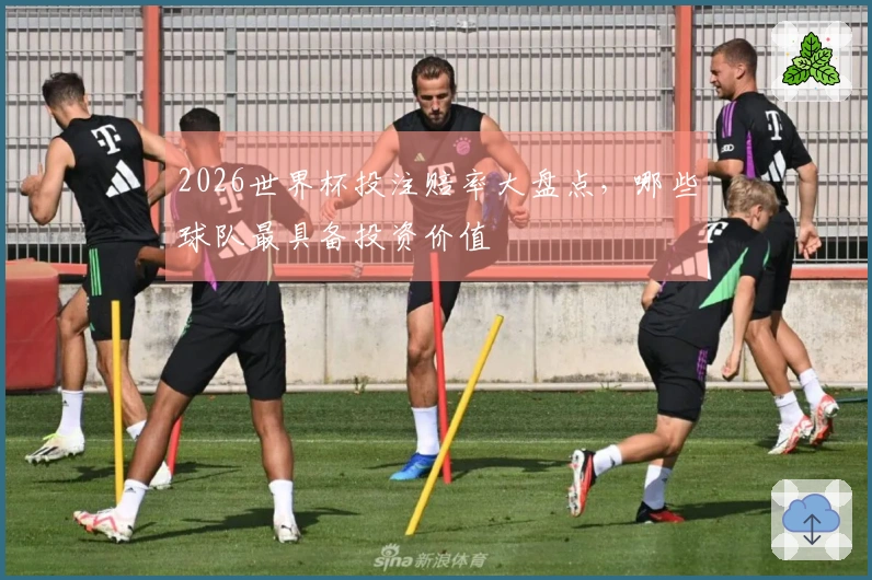 2026世界杯投注赔率大盘点，哪些球队最具备投资价值