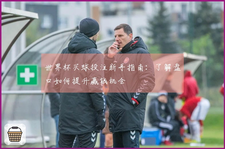 世界杯买球投注新手指南：了解盘口如何提升赢钱机会