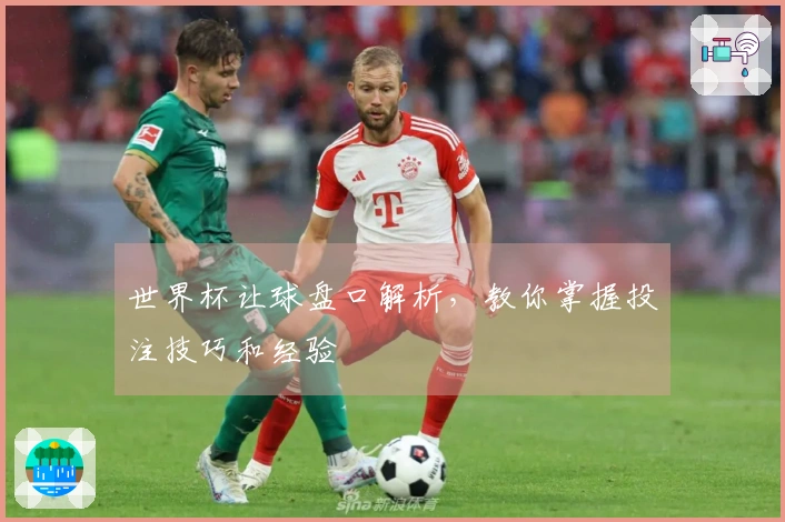世界杯让球盘口解析，教你掌握投注技巧和经验