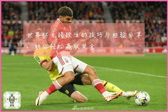 世界杯竞猜投注的技巧与经验分享，助你轻松赢取奖金
