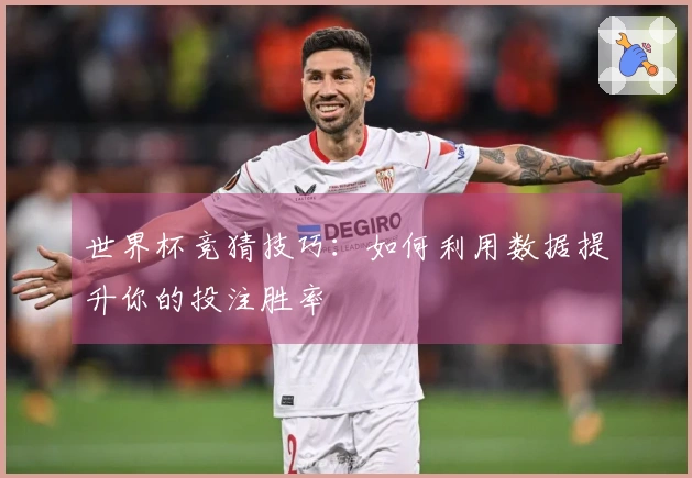 世界杯竞猜技巧：如何利用数据提升你的投注胜率
