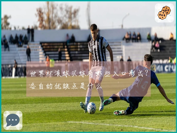 世界杯滚球买球有哪些入口形式？各自的优缺点是什么