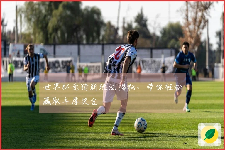 世界杯竞猜新玩法揭秘，带你轻松赢取丰厚奖金