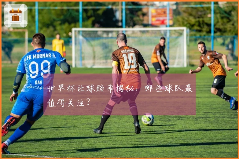 世界杯让球赔率揭秘，哪些球队最值得关注？